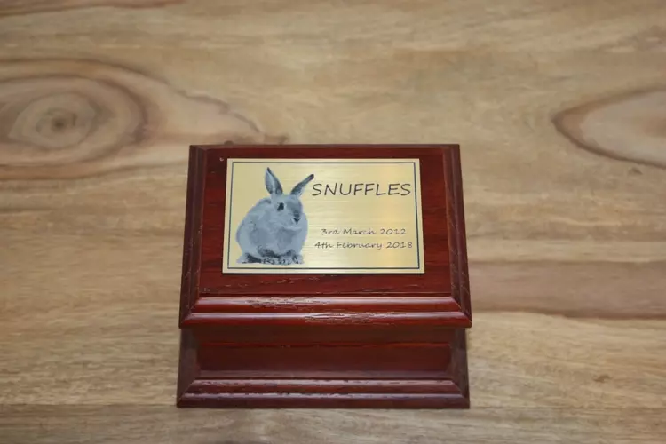 Rabbit ashes casket store